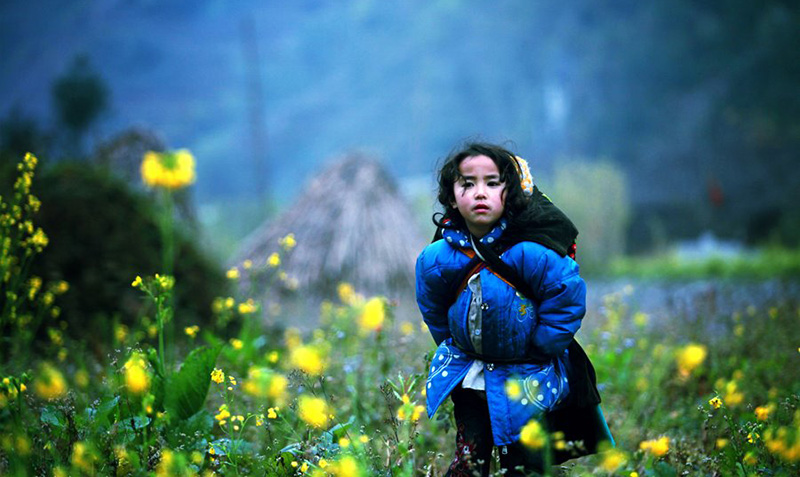 DA LAT - WELCOME TO THE FESTIVAL OF THOUSANDS OF FLOWERS